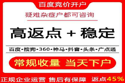 百度竞价代理的客户案例：如何实现ROI最大化